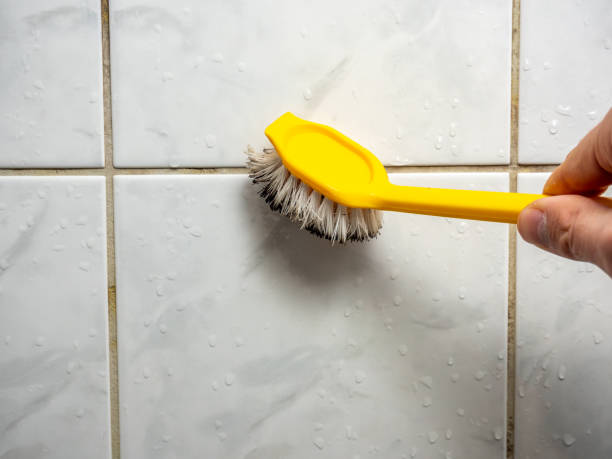 Best Residential Mold Remediation in Belle Haven, VA
