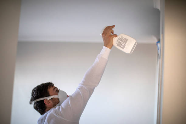 Best Mold Remediation for Specific Building Types in Belle Haven, VA