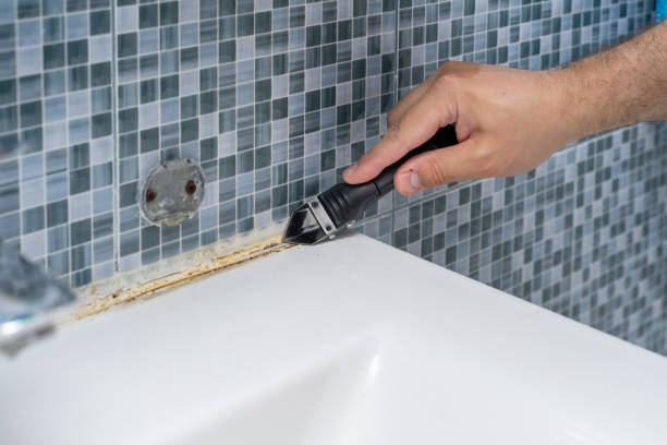 Best Mold Testing and Inspection Services in Belle Haven, VA