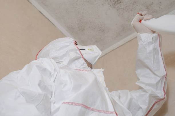 Best Mold Remediation for Schools in Belle Haven, VA